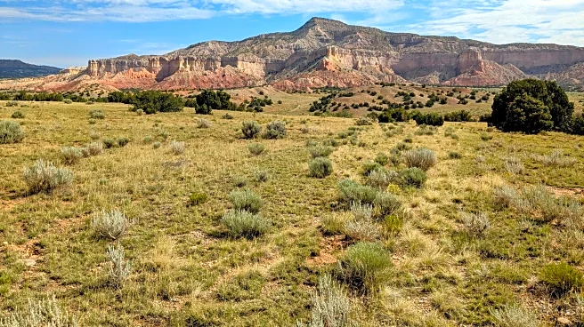 Georgia O'Keeffe's views of the New Mexico desert will be preserved with conservation plan