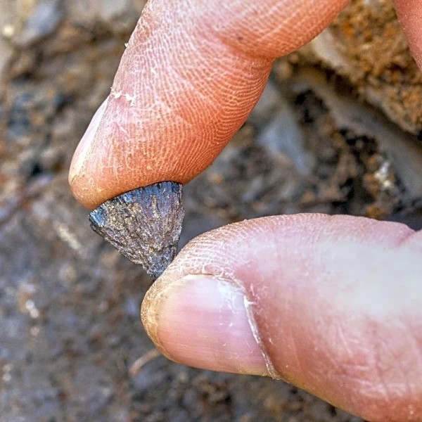 Study finds humans were making fire 400,000 years ago, far earlier than once thought