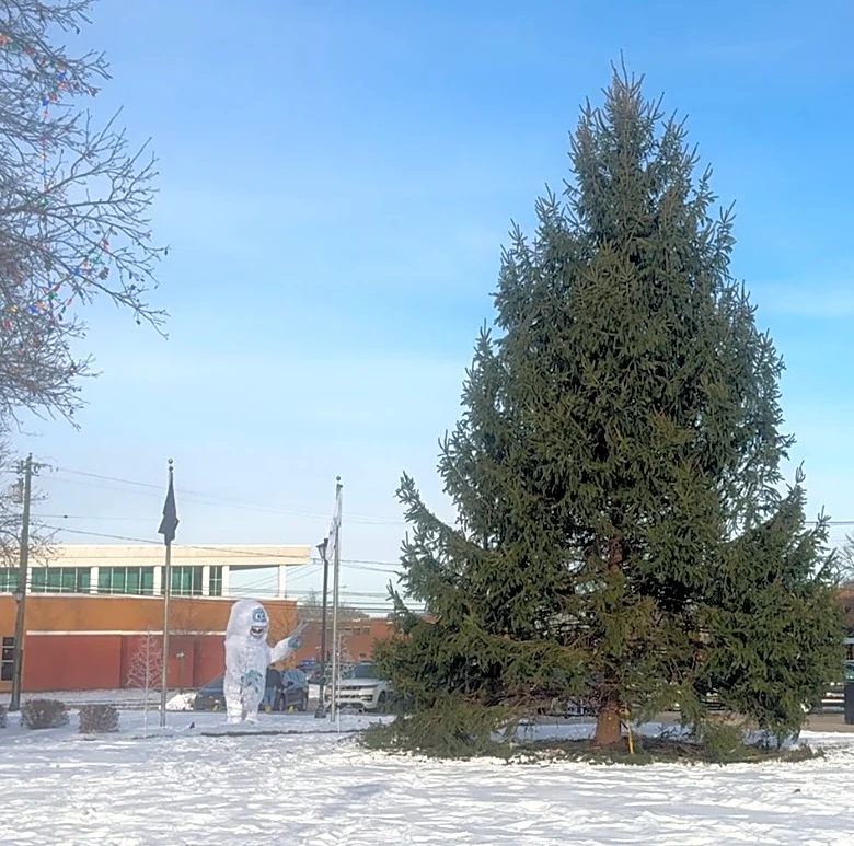 Detroit suburb finds a real Christmas tree — instead of a fake one from China — just in time