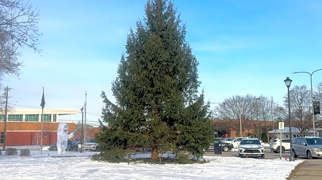 Detroit suburb finds a real Christmas tree — instead of a fake one from China — just in time