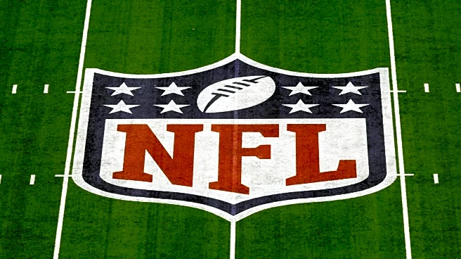 NFL is seeking a practice squad of officials, wants to base postseason assignments on performance