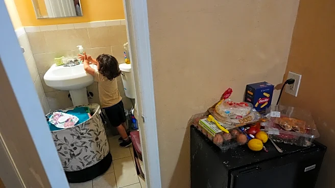 Families set off on migration journeys and find themselves torn apart