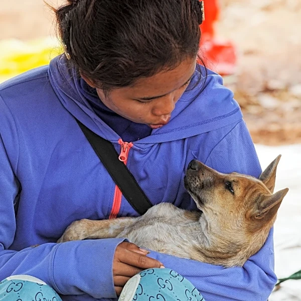 Thailand reports first civilian deaths in renewed border conflict with Cambodia
