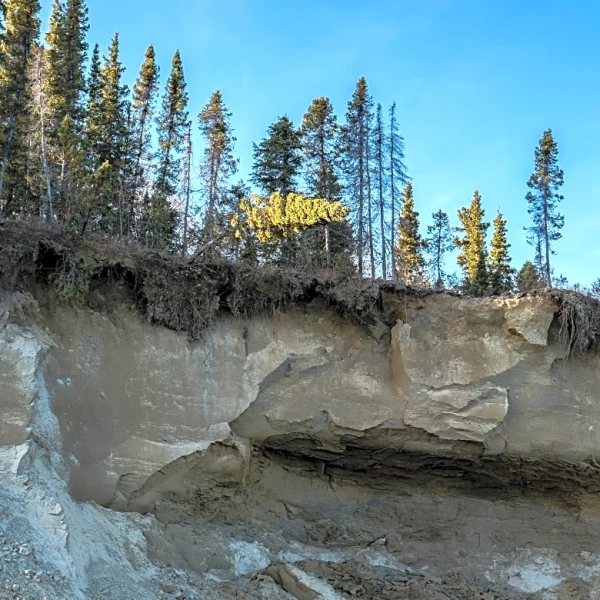 Takeaways from AP’s report on potential impacts of Alaska’s proposed Ambler Access Road