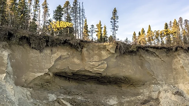 Takeaways from AP’s report on potential impacts of Alaska’s proposed Ambler Access Road