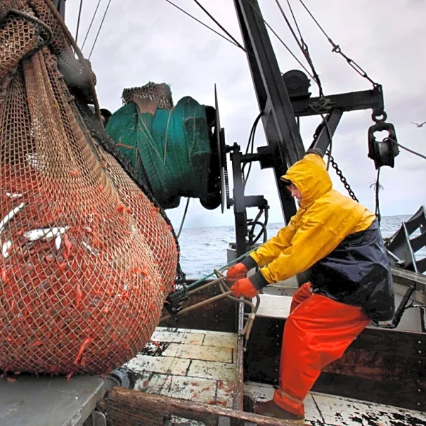 New England's shrimp fishery to shut down for the long haul after years of decline