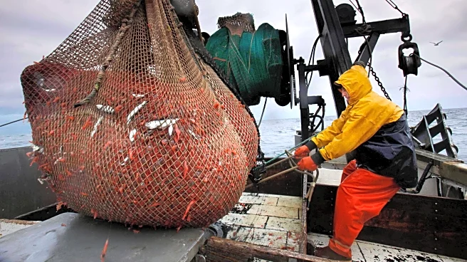 New England's shrimp fishery to shut down for the long haul after years of decline