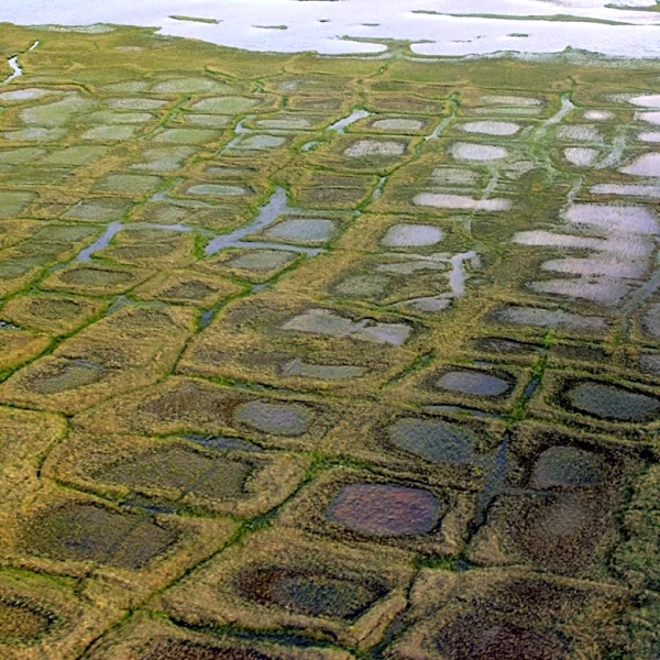 Lawsuit challenges the approval of an exploratory drilling program in Alaska petroleum reserve