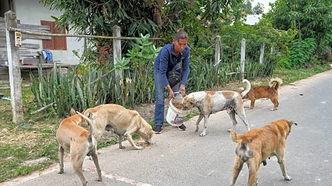 Thai villagers stay behind to guard empty homes as border clashes force mass evacuations