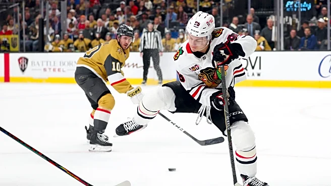Blackhawks place Connor Bedard on injured reserve with an upper-body injury