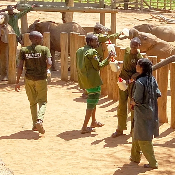 Elephant orphans. Goat's milk. This safari reveals the impact of wildlife conservation in Kenya