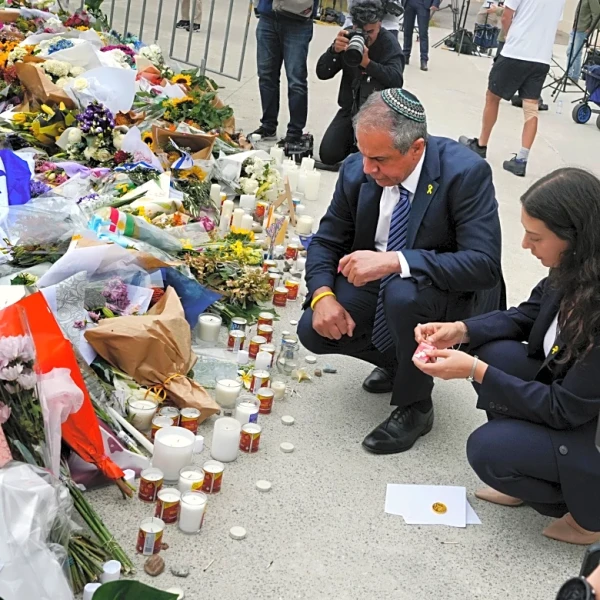 England and Australia players to wear black armbands in Ashes tribute to Bondi shooting victims