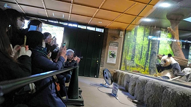Thousands flock to a Tokyo zoo to see the last 2 pandas in Japan before their return to China