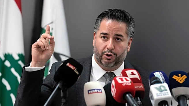 Former Lebanese minister ordered released on $100,000 bail amid financial crime allegations