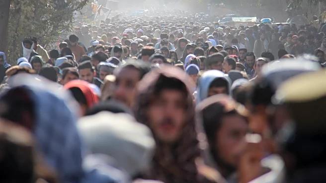 Millions facing acute food insecurity in Afghanistan as winter looms, UN warns