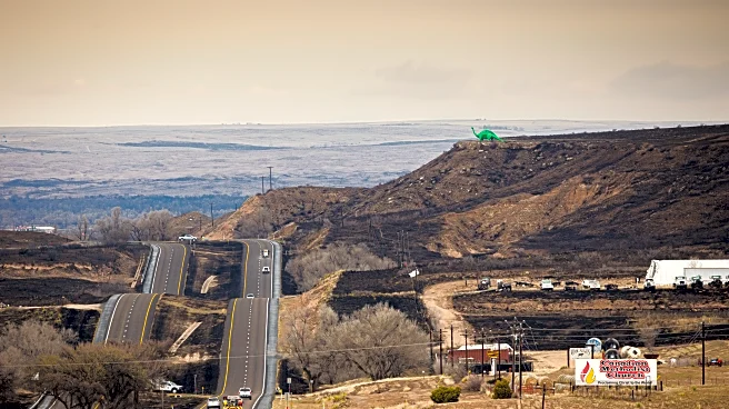 Texas sues utility company to recover damages from historic wildfire sparked by downed power lines