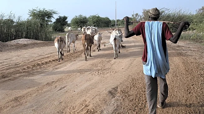 In Senegal, climate change is adding to historic tension between farmers and herders