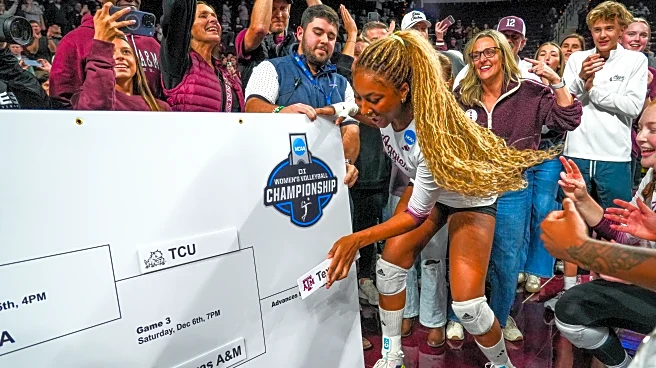 Stars and hype on the rise as the NCAA volleyball tournament reaches the Final Four