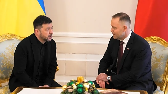 Ukrainian and Polish presidents show unity against Russia, address historical tensions