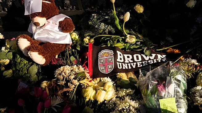 A little-known diversity visa program is paused after the Brown University shooting