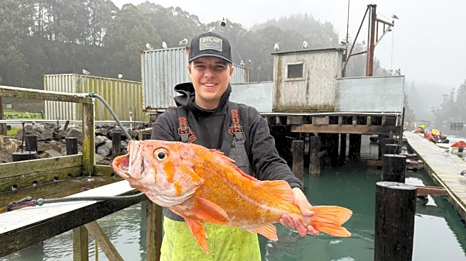 A California fisherman may have broken records by catching a 10.25-pound canary rockfish