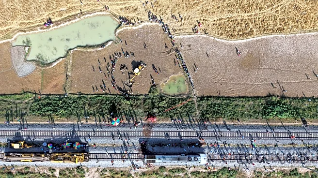 High-speed passenger train kills 7 elephants crossing railway tracks in northeast India