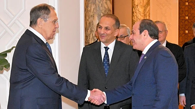 Egypt's el-Sissi urges UN Security Council reforms for Africa's larger role