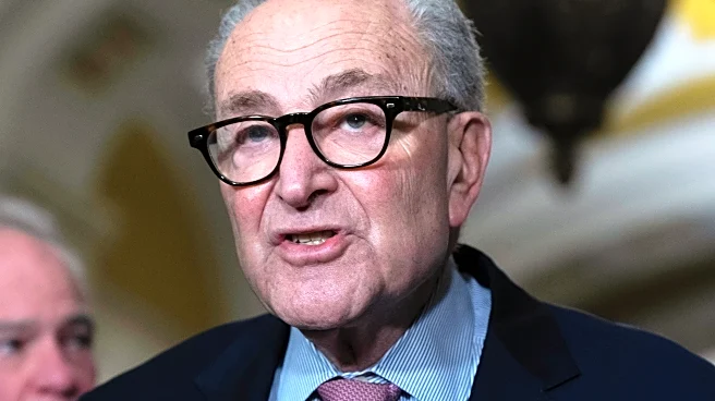 Schumer urges Senate to take legal action over Justice Department’s staggered Epstein files release