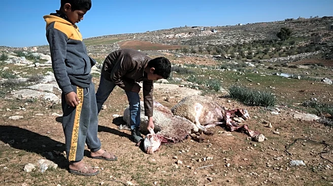 Israeli settlers spray Palestinian children with teargas in latest West Bank attack