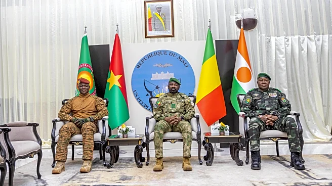 Mali, Burkina Faso and Niger call for joint 'large-scale operations' against extremists