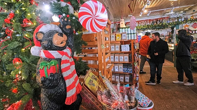 More thrifting and fewer returns _ the early trends that defined shopping this holiday