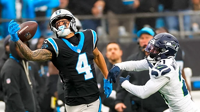 Panthers could have wrapped up the NFC South title. Now they likely need a win in Week 18