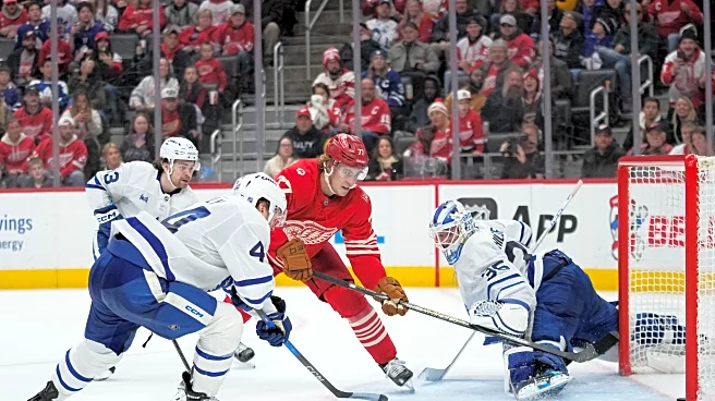 Simon Edvinsson scores winner in overtime as the Red Wings beat the Maple Leafs 3-2