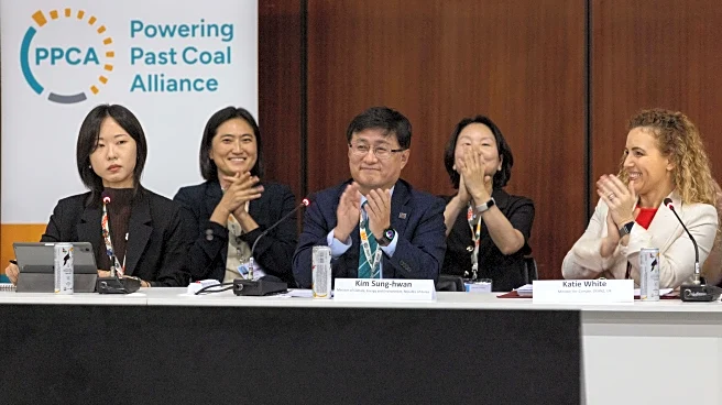 South Korea’s climate pledge to cut coal, lower emissions clash with US push for LNG purchases