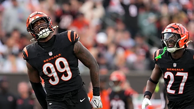 Bengals defense takes another step with strong performance versus Arizona