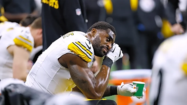 Pittsburgh Steelers' playoff fate tied to DK Metcalf's two-game suspension and a Detroit Lions fan
