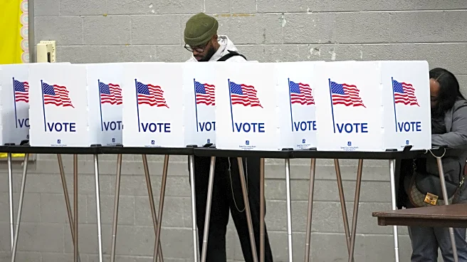 After quiet off-year elections, Democrats renew worries about Trump interfering in the midterms