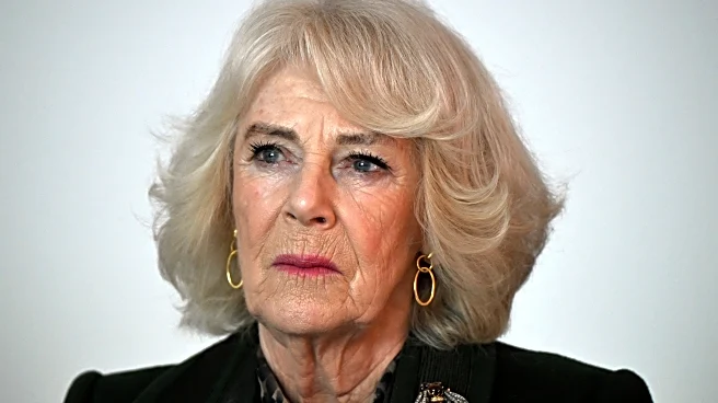 UK's Queen Camilla recalls assault in 1960s as she campaigns against domestic violence