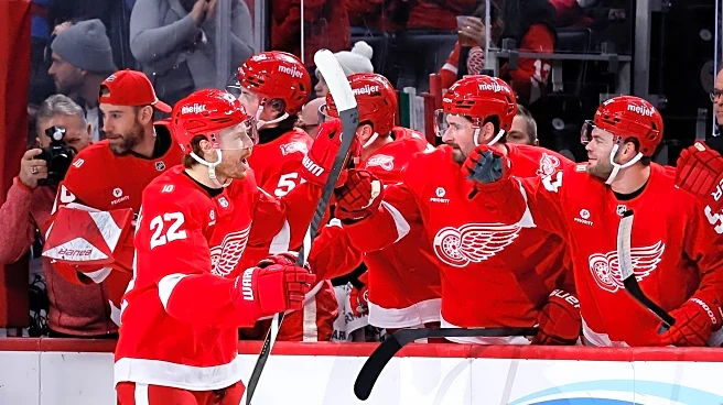 John Gibson makes 24 saves as surging Red Wings beat slumping Jets, 2-1