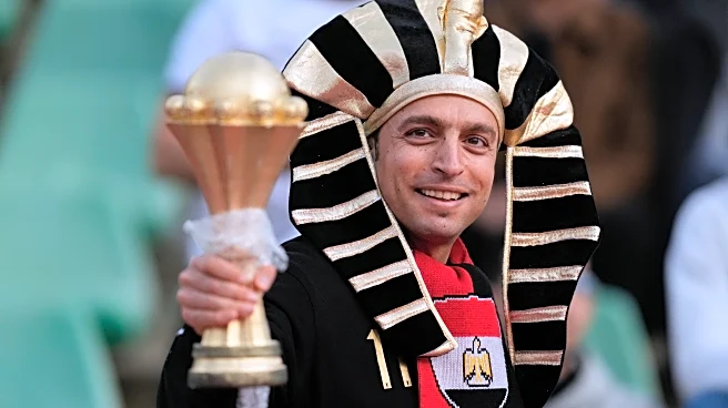 Lions roar and Eagles fly: All the 24 teams' nicknames at the Africa Cup of Nations