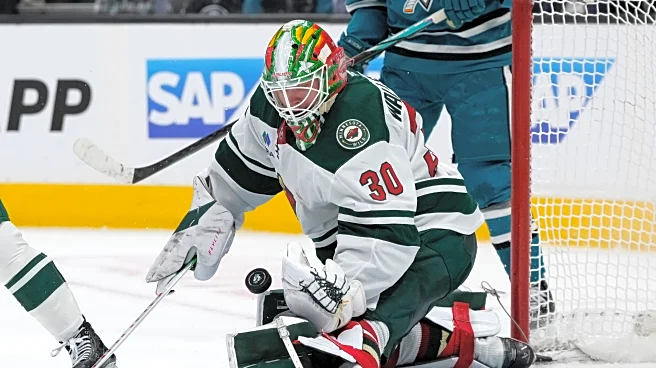 Sweden picks Wallstedt, Gustavsson and Markstrom as goalies for the Winter Olympics