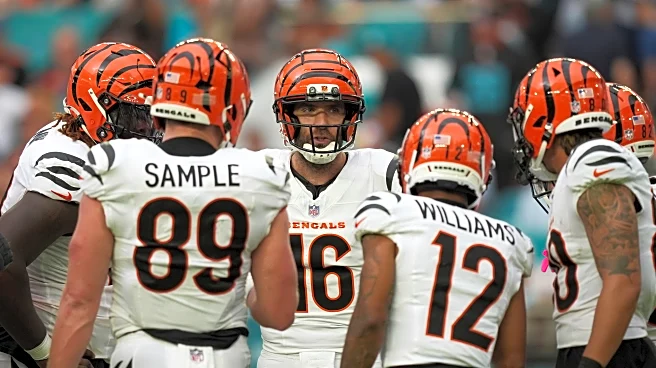 QB Joe Flacco appreciative of his chance to play for the Bengals