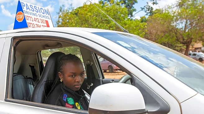 Driving instructors teach students to dodge danger on Zimbabwe roads