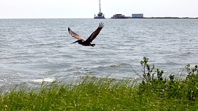 Record $9.6 million fine for Third Coast after substantial oil spill in the Gulf of Mexico