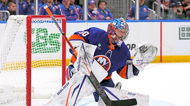 Islanders, Rangers and Devils have vastly different goaltending situations midway through the season