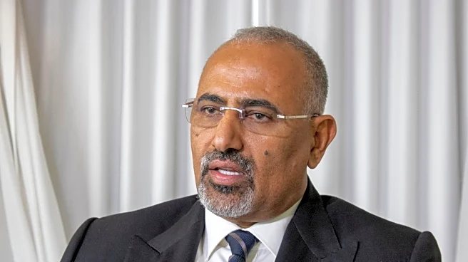 Yemen's anti-Houthi council expels separatist leader and says he faces treason charges