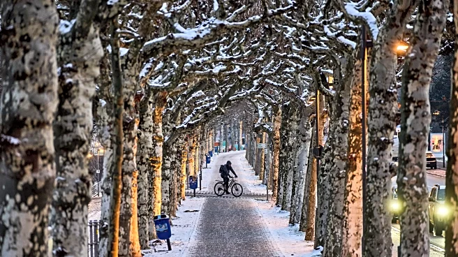 Snow and ice ground flights, choke highways in parts of Europe