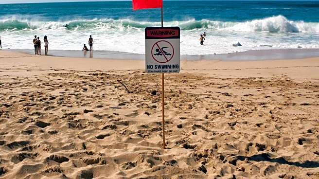 Hawaii reviving task force that places warning signs at dangerous beaches to prevent drowning