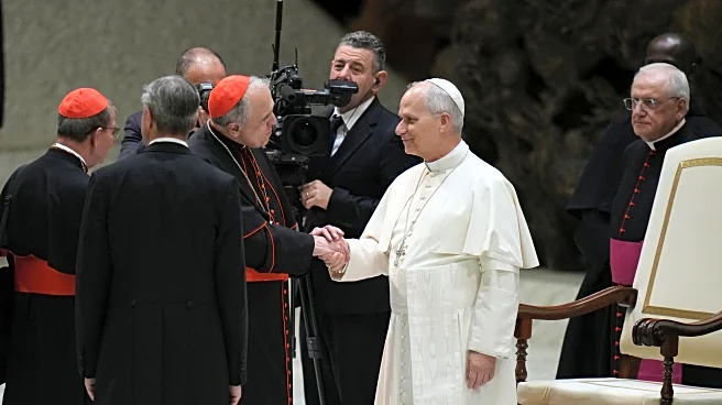 Pope convenes cardinals and asks their priorities for 2 years, with Latin Mass off the agenda