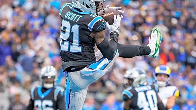 Panthers defense getting reinforcements for rematch with Matthew Stafford, Rams in wild-card game